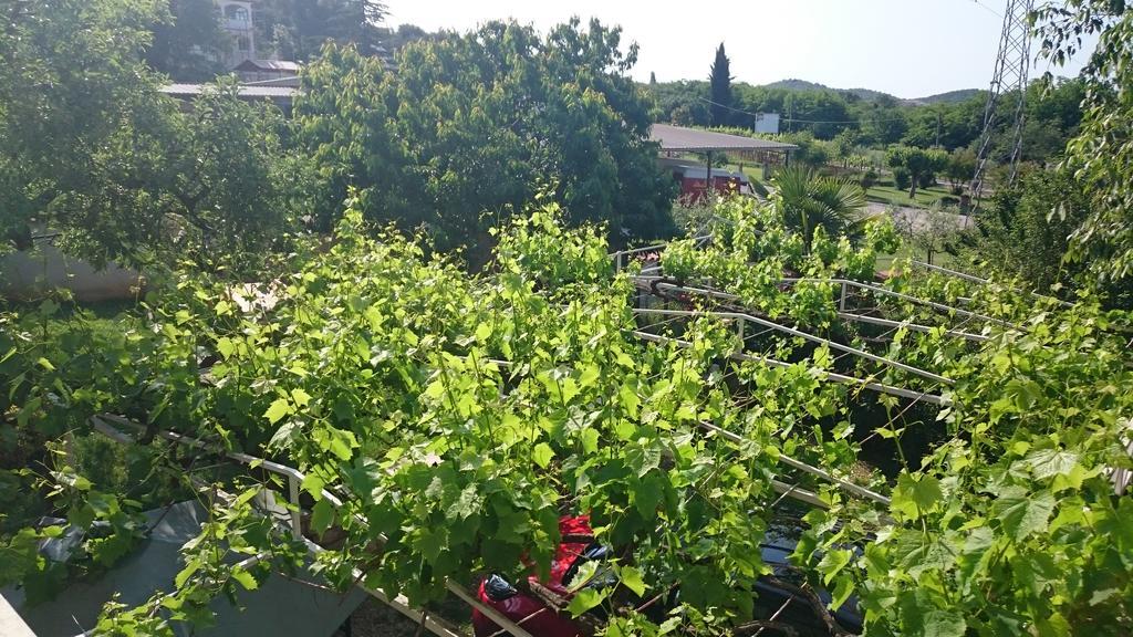 Apartments Sandra Porec Ngoại thất bức ảnh